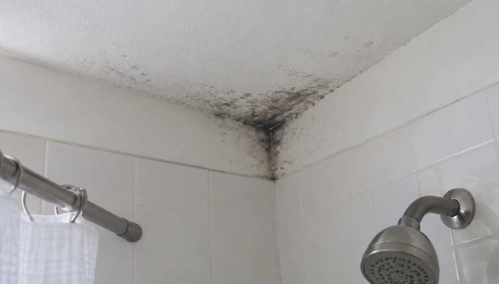 Dark staining in a bathroom ceiling corner above a shower, a common spot where moisture collects.