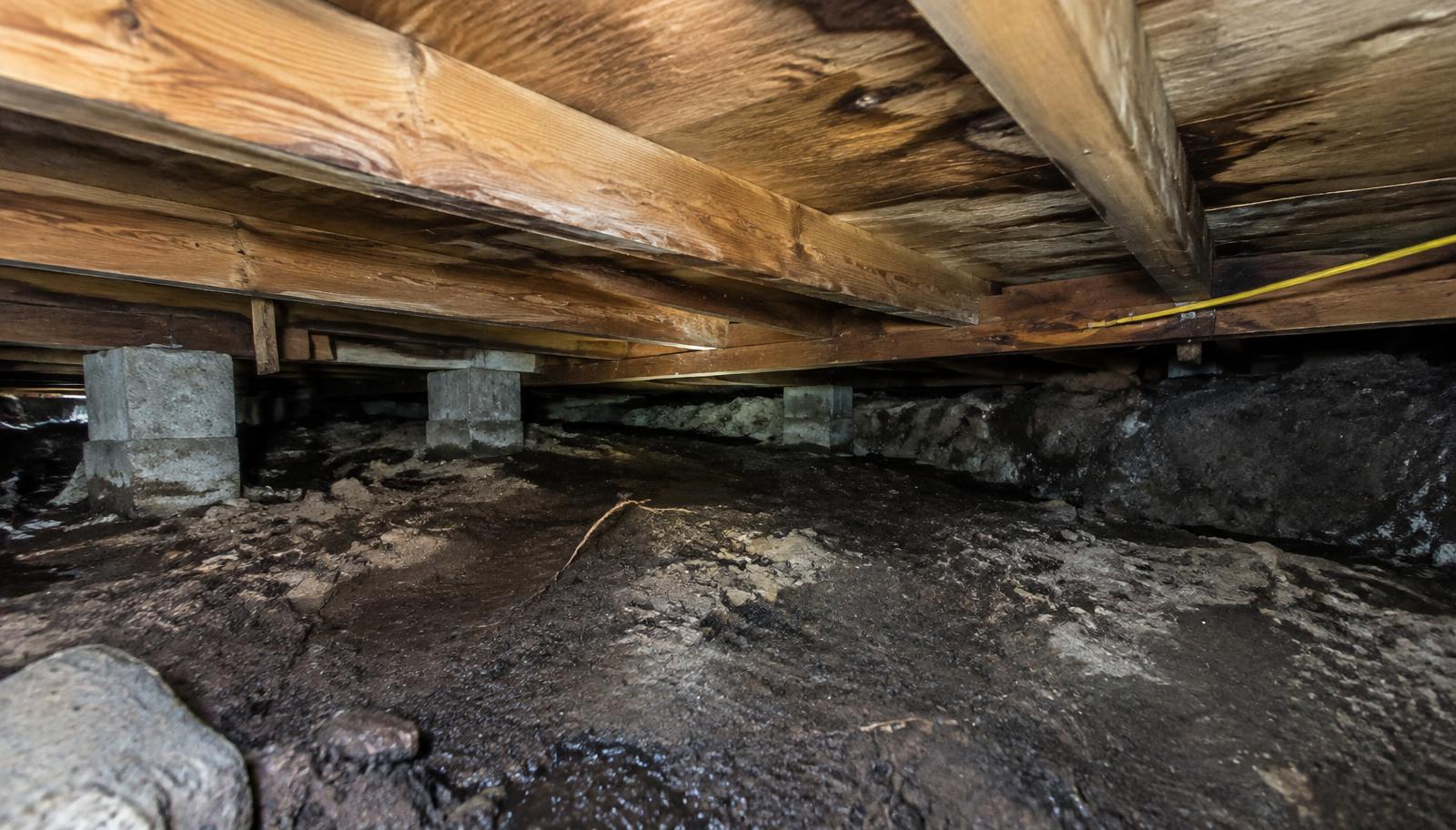 A damp crawlspace under a hillside home. Standing water and wet soil can raise humidity in the rooms above.