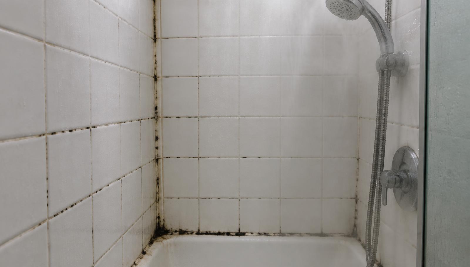 A family bathroom. Weak ventilation is a common reason for moisture in kids' spaces.