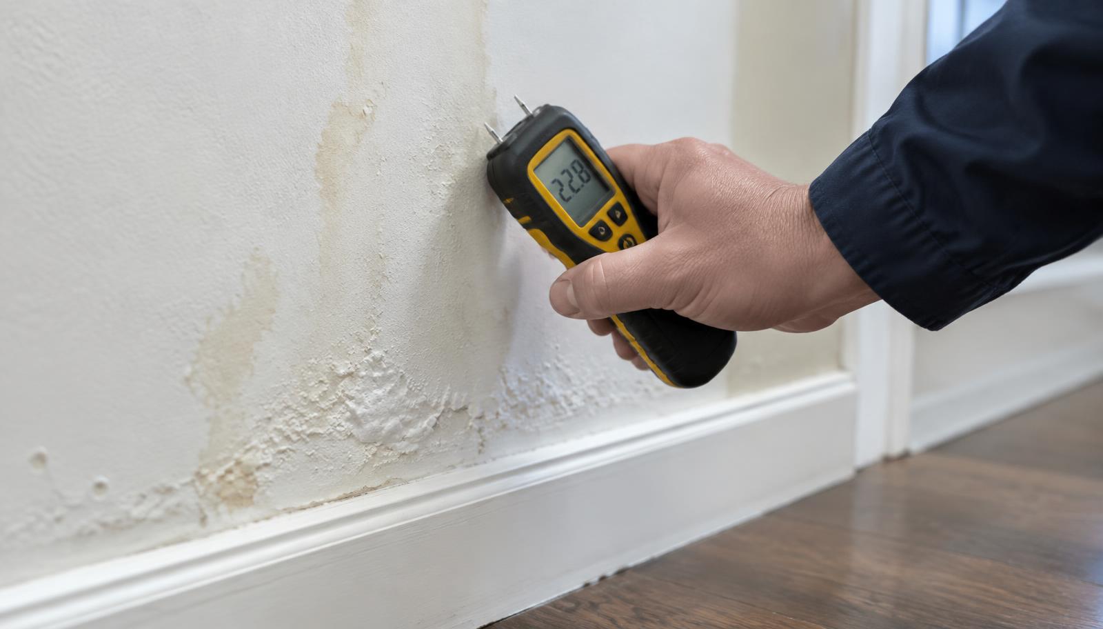 An inspector checking a stained, bubbling wall with a moisture meter